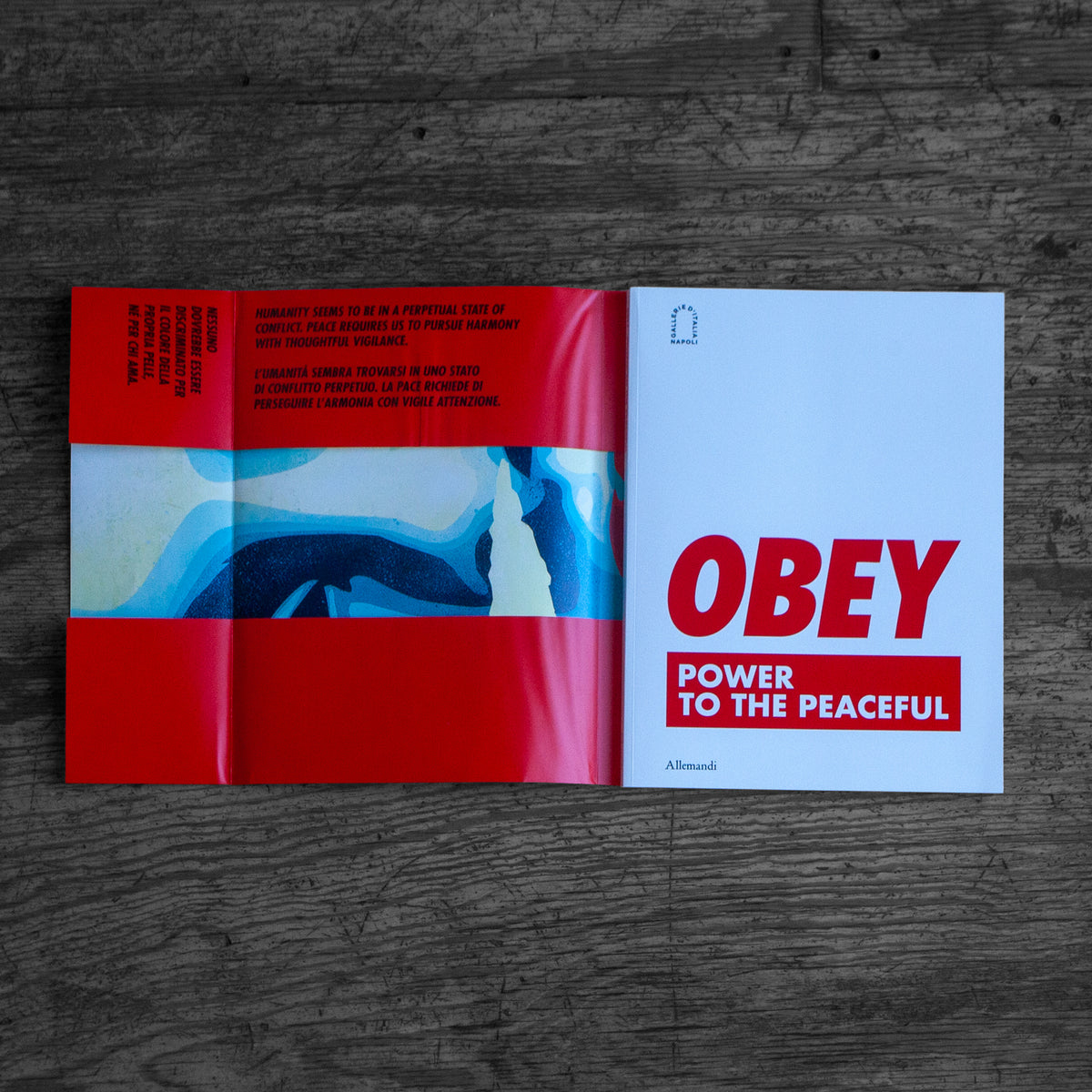 Power to the Peaceful (Naples Exhibition Catalog)