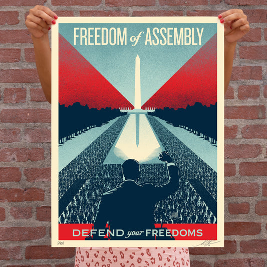 Defend Your Freedoms - Freedom of Assembly